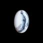 Preview: Ring mit Dendritenjaspis in 925 Silber