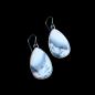 Preview: Ohrhänger mit Dendritenjaspis in 925 Silber
