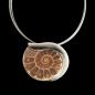 Preview: Halsschmuck Ammonit in 925 Silber