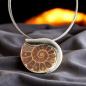 Preview: Halsschmuck Ammonit in 925 Silber