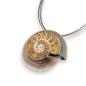 Preview: Halsschmuck Ammonit in 925 Silber