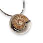 Preview: Halsschmuck Ammonit in 925 Silber