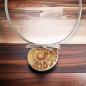 Preview: Halsschmuck Ammonit in 925 Silber