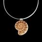 Preview: Halsschmuck Ammonit in 925 Silber