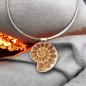 Preview: Halsschmuck Ammonit in 925 Silber
