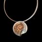 Preview: Halsschmuck Ammonit in 925 Silber