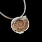 Preview: Halsschmuck Ammonit in 925 Silber