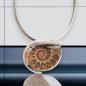 Preview: Halsschmuck Ammonit in 925 Silber