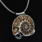 Preview: Halsschmuck Ammonit in 925 Silber