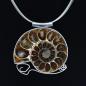 Preview: Halsschmuck Ammonit in 925 Silber